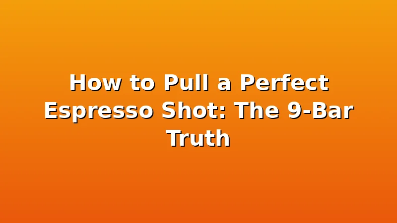 How to Pull a Perfect Espresso Shot: The 9-Bar Truth - CremeNest review with measurements and honest opinion